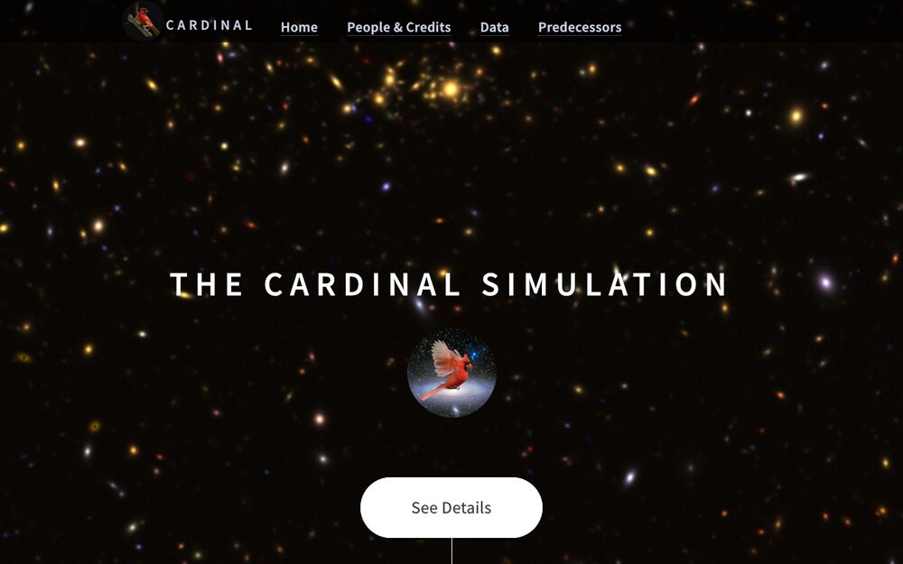 The Cardinal Simulation